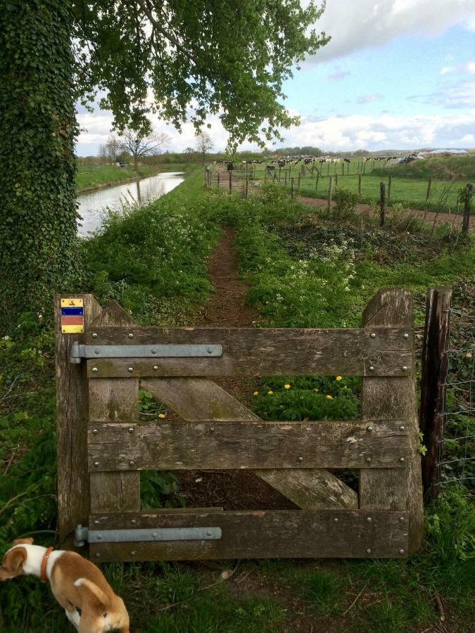 Boerengastenverblijf De Kromme Rijn Cothen Exteriér fotografie