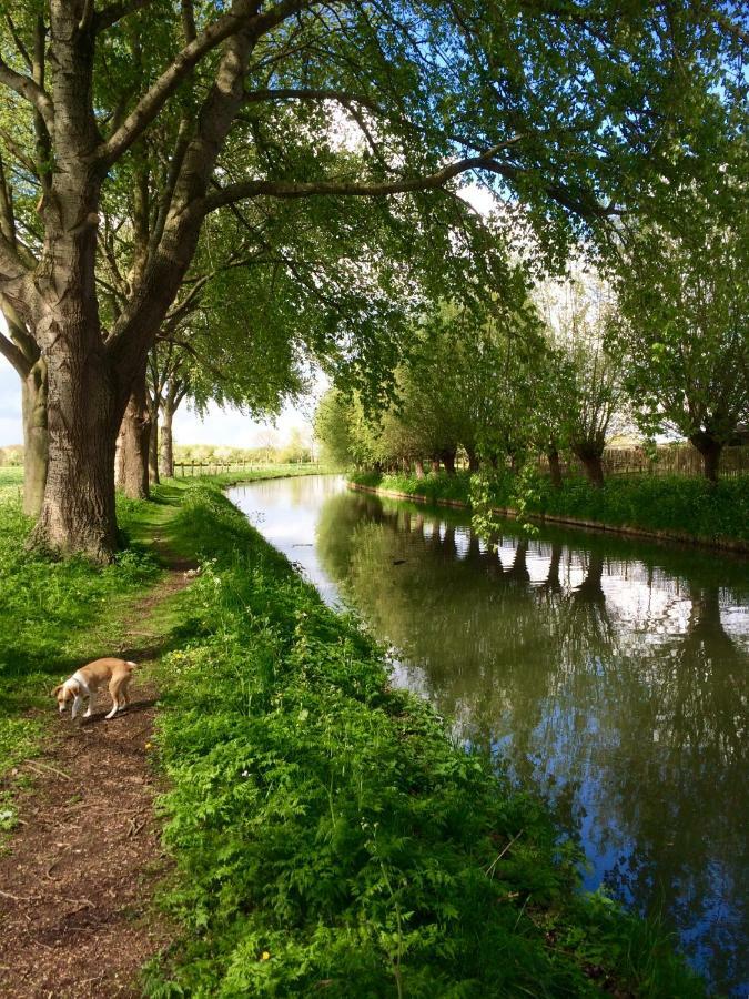 Boerengastenverblijf De Kromme Rijn Cothen Exteriér fotografie